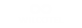 white logo (png)